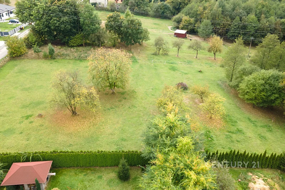 Fotka 7 z 22